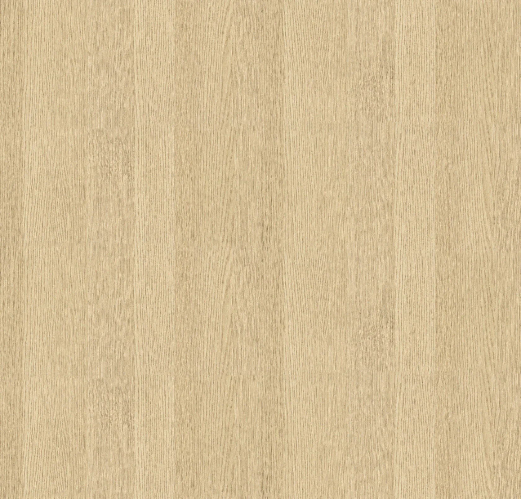 BAMSTEK8066